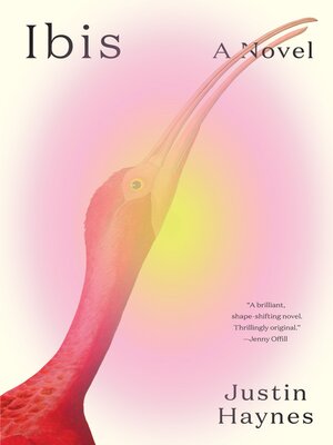 cover image of Ibis